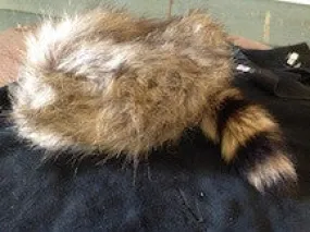 Coonskin Cap