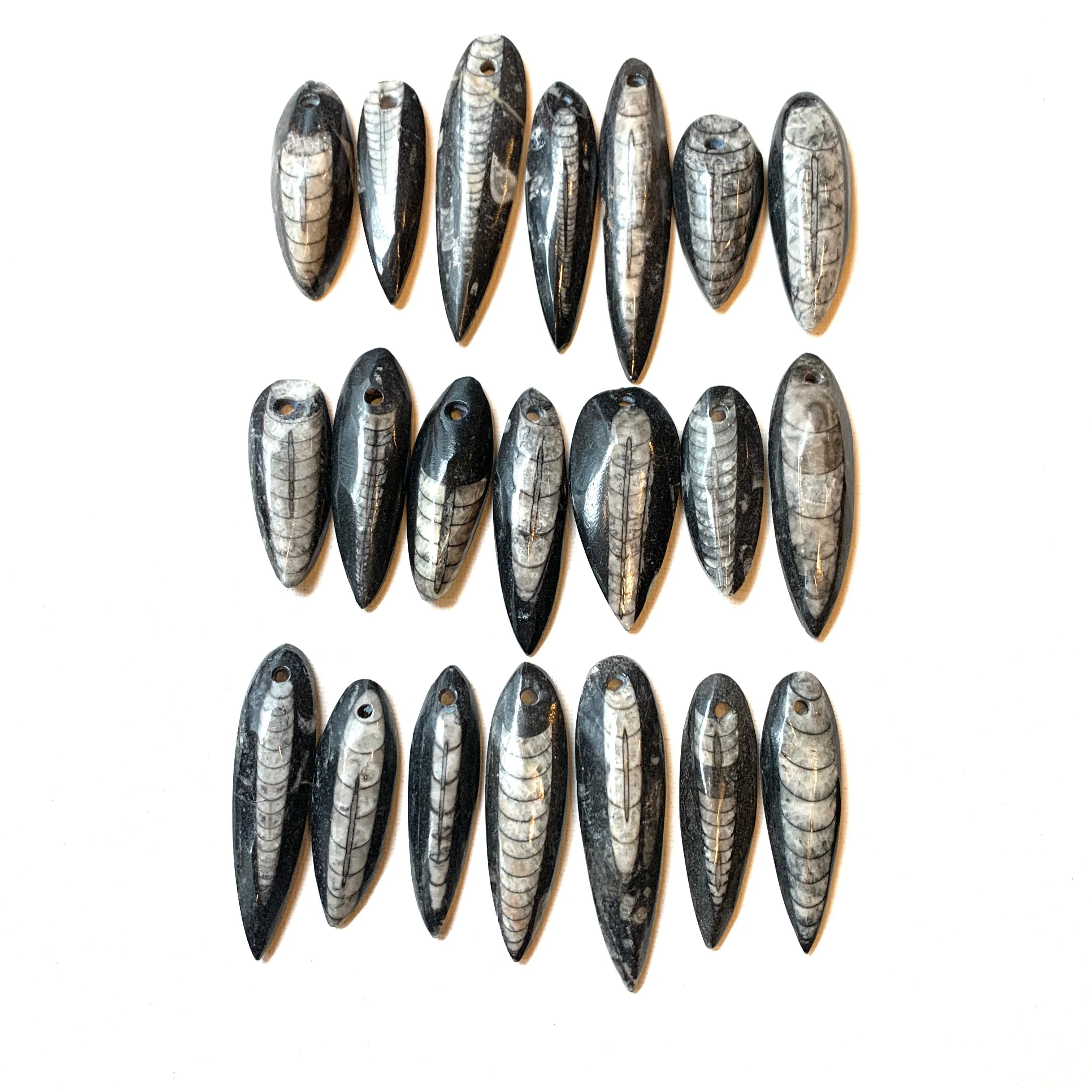 Orthoceras Fossil Pendants