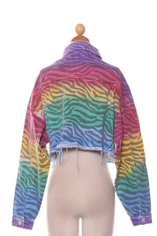 Rainbow Zebra